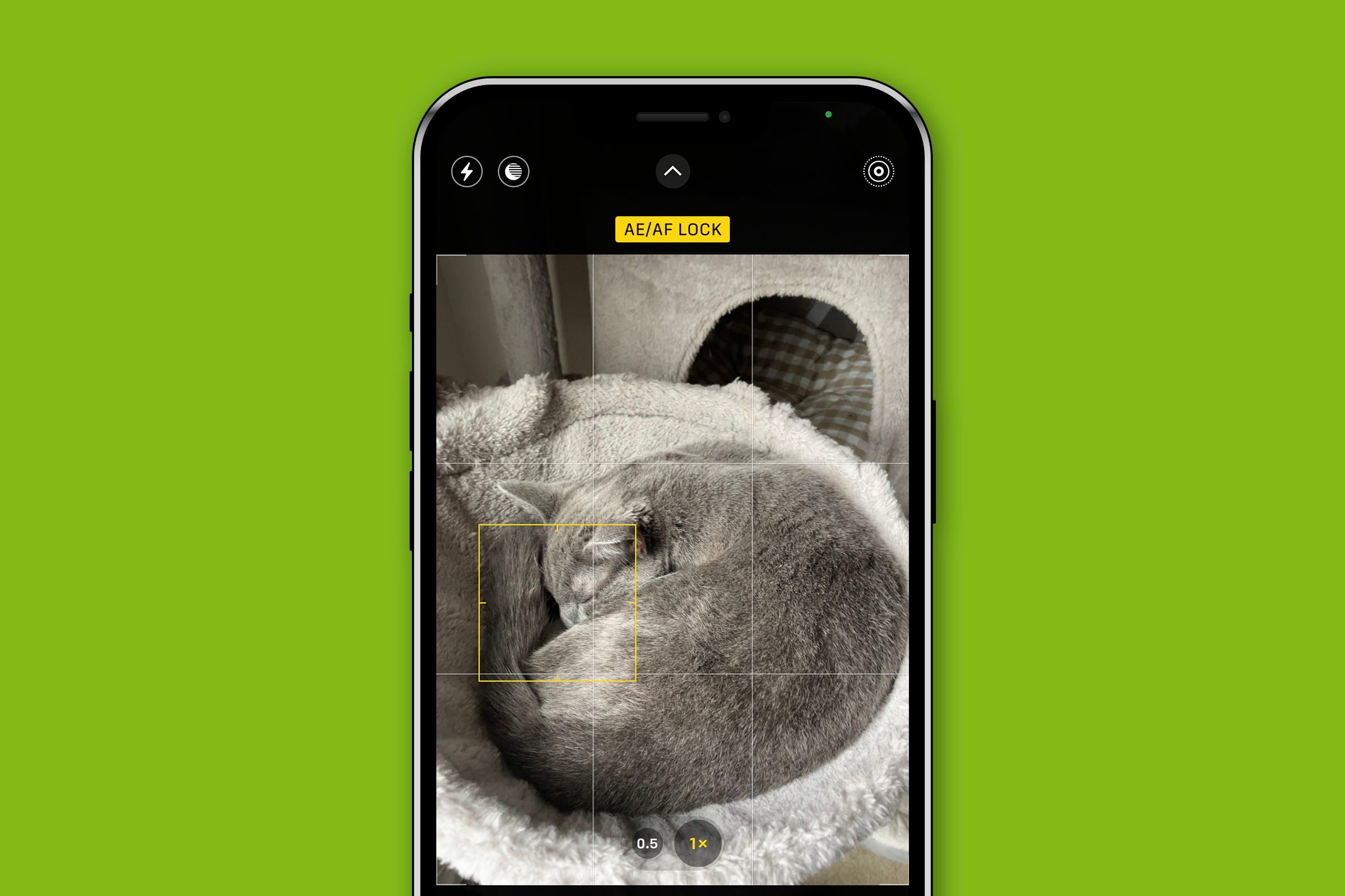 Hidden Iphone Tips And Tricks 57 Lock The Cameras Focus And Exposure