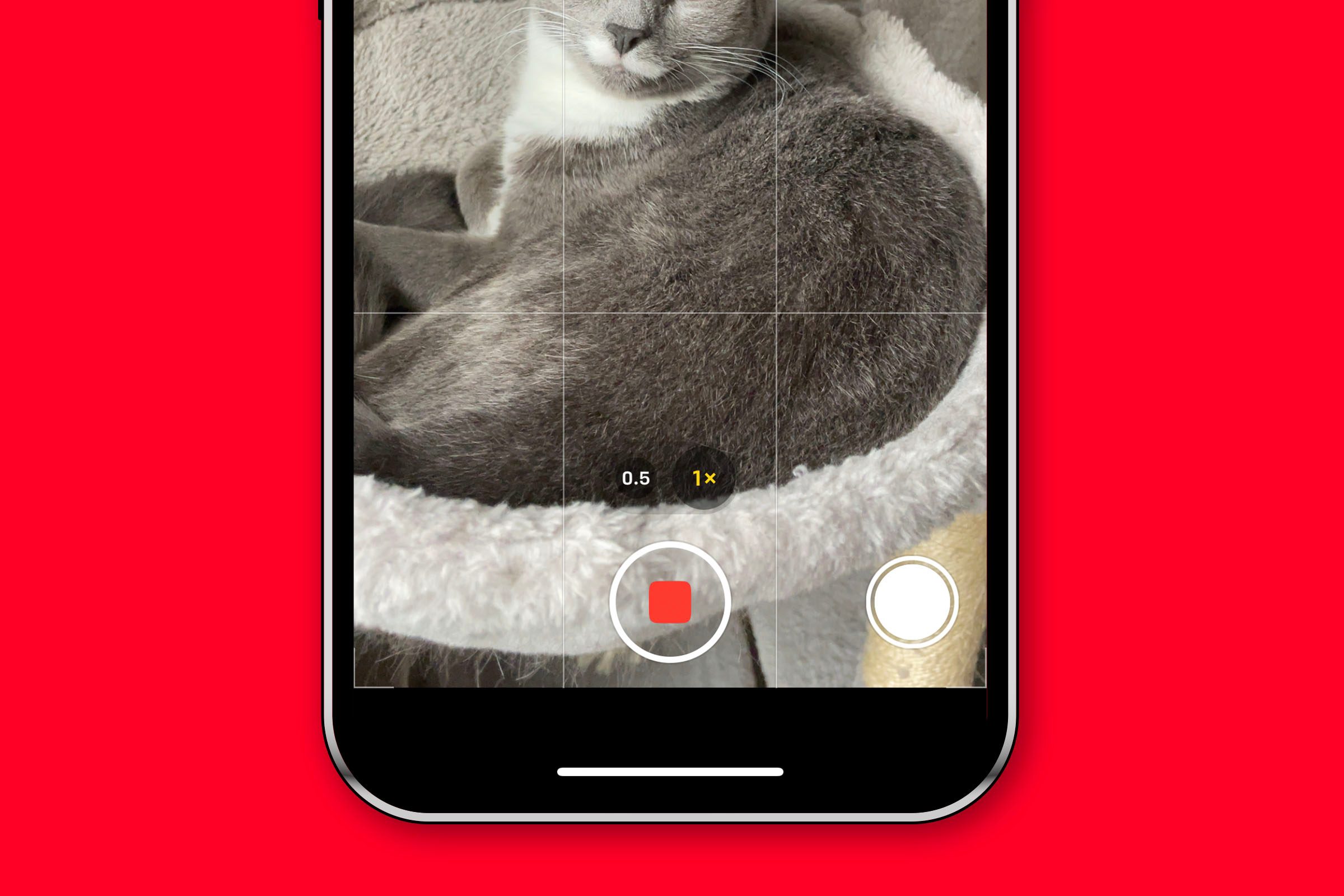 Hidden Iphone Tips And Tricks 59 Record A Video And Take A Picture At The Same Time