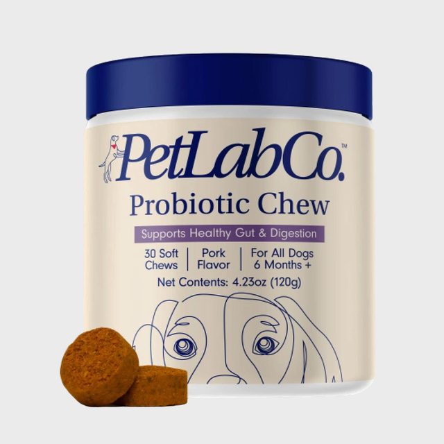 Container holds PetLabCo Probiotic Chews, promoting healthy digestion for dogs. Features pork flavor, 30 soft chews, suitable for dogs over six months.