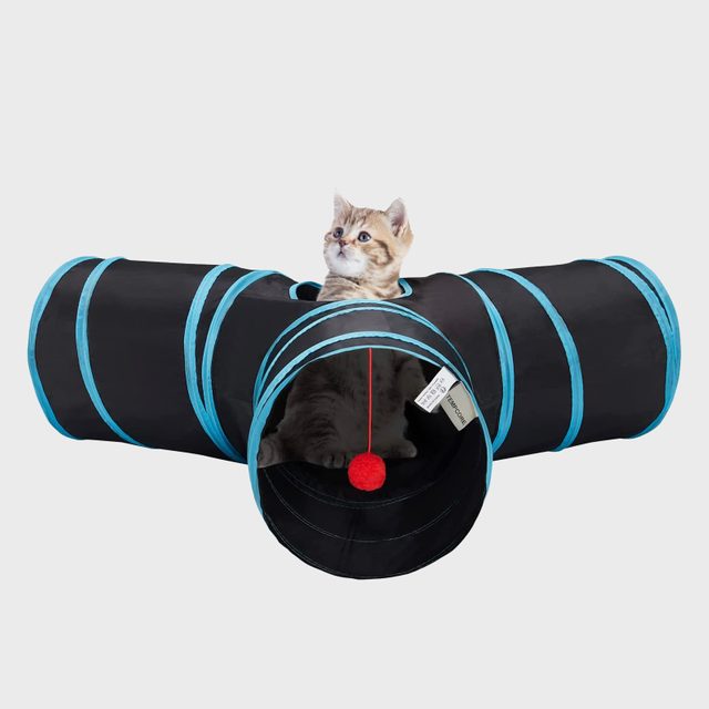 Kitten sits inside a black and blue three-way tunnel, looking upward. A red ball hangs from the tunnel's entrance. Gray background.