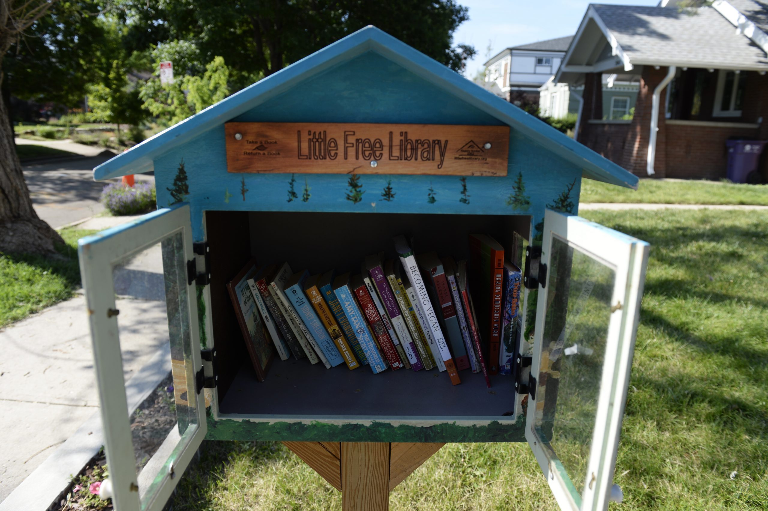 Little Free Libraries