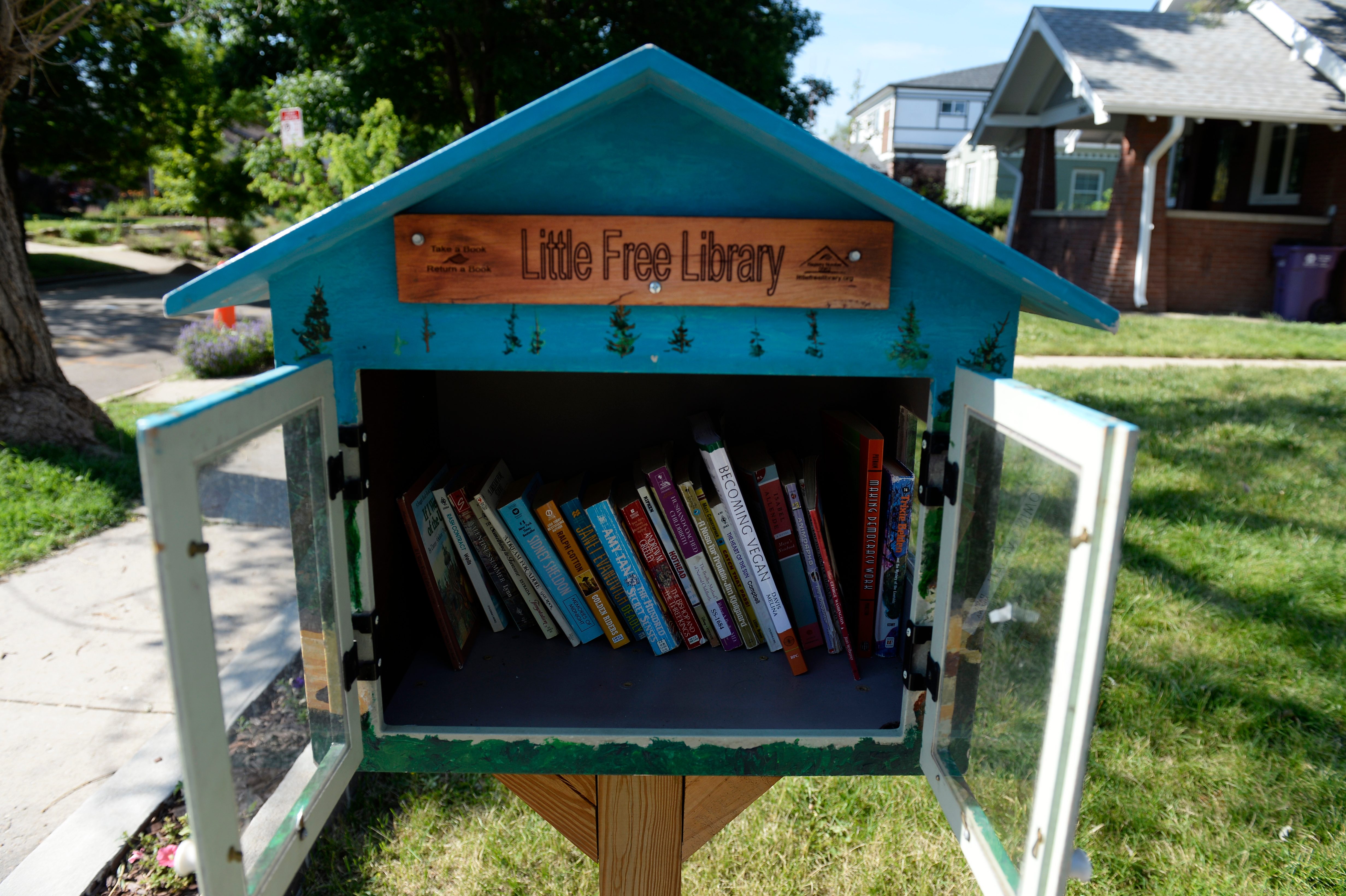 Books sit inside an open, small wooden library box on a grassy suburban street, labeled "Little Free Library."