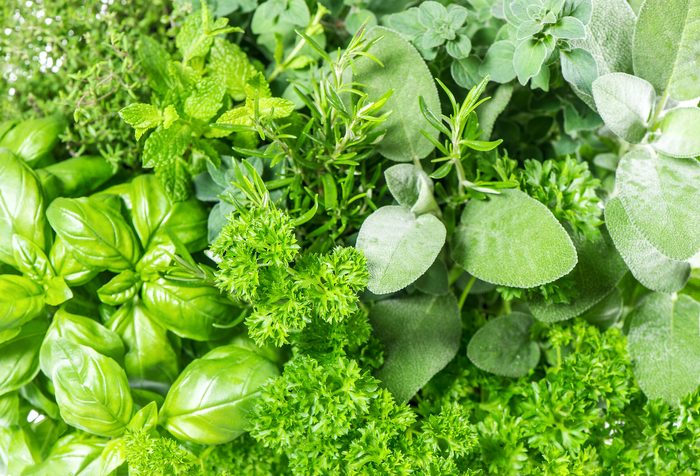 fresh herbs basil, marjoram, parsley, rosemary, thyme, sage