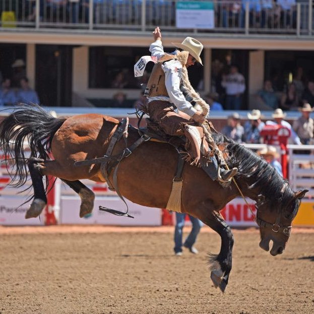 Rider stabilizes on bucking horse in rodeo arena, surrounded by spectators and fencing.