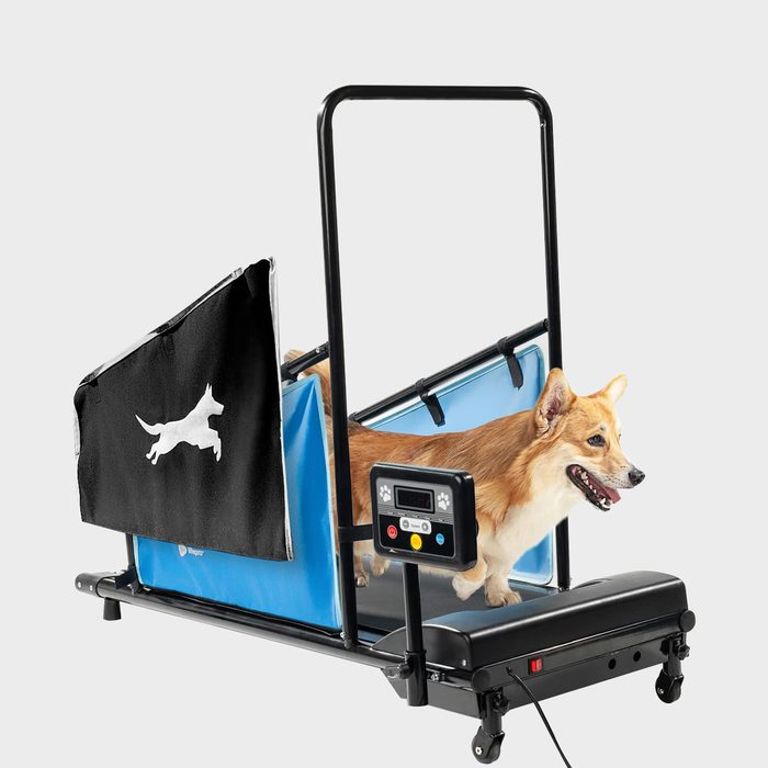 A dog walks on a treadmill with a digital display, surrounded by blue netting and a black cover featuring a white silhouette of a dog.