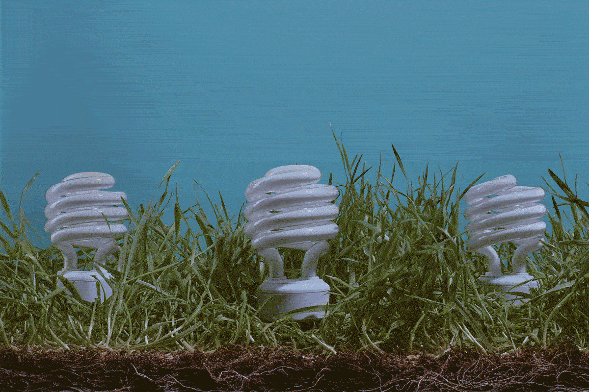 led Lightbulbs turning on and off in grass with blue background