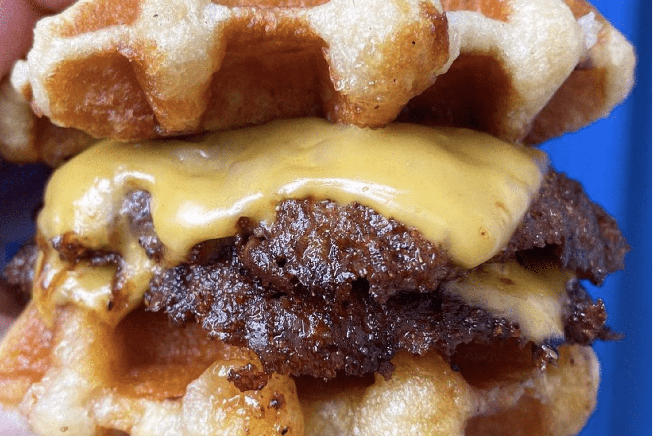 Waffle sandwich holds melted cheese and beef patties; close-up, blue background.