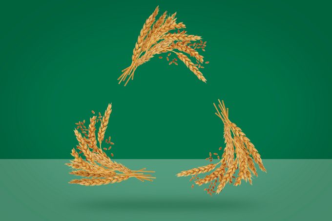 The Future Of Recycling Agriculture Gettyimages2