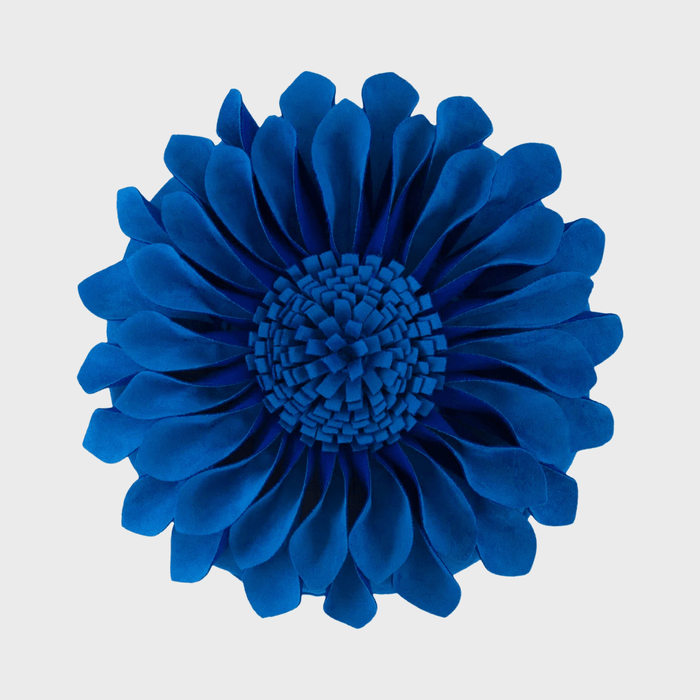 A bright blue flower with layered petals is centered against a plain white background.
