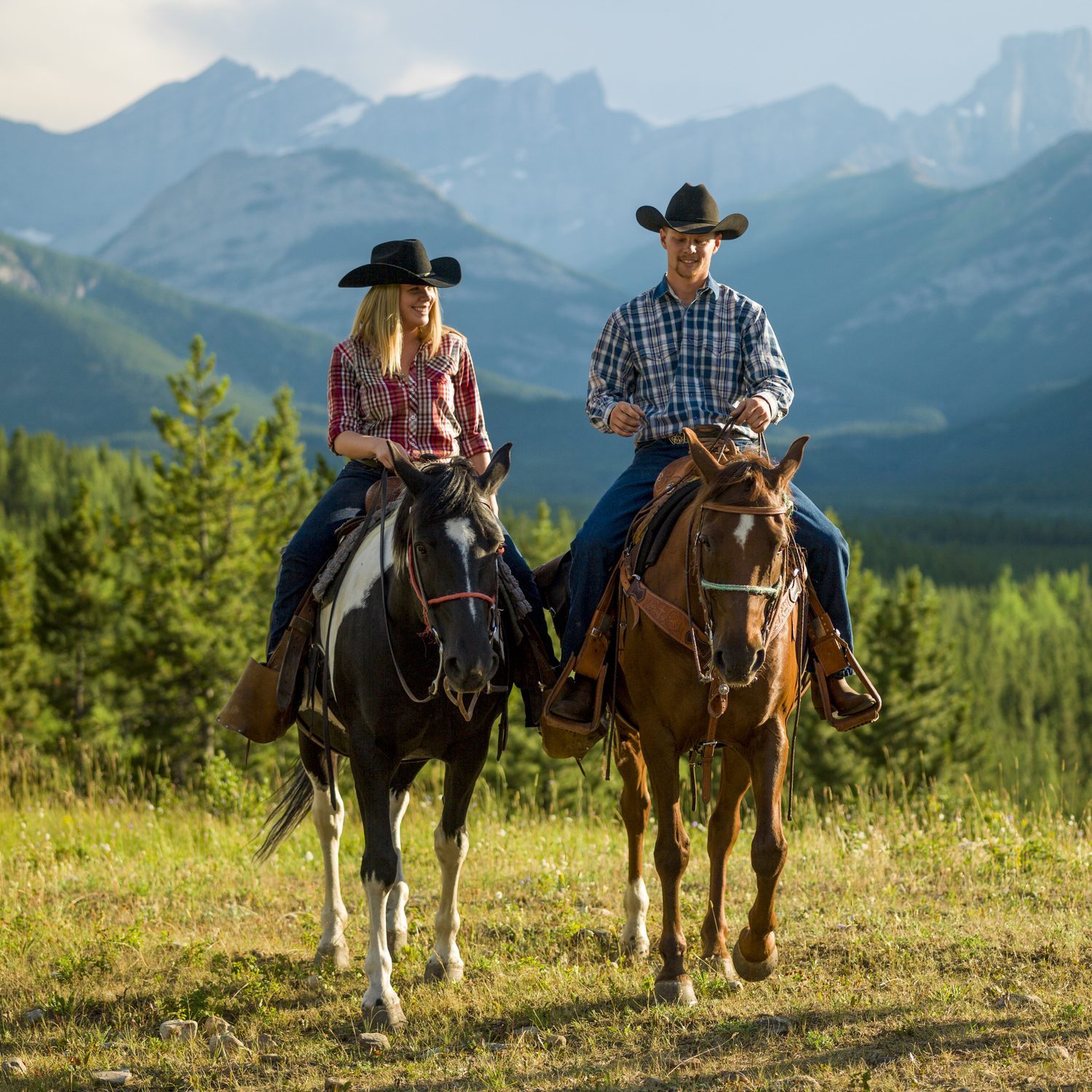 Two people ride horses on a grassy field, wearing cowboy hats and plaid shirts, with mountains and pine trees in the background.