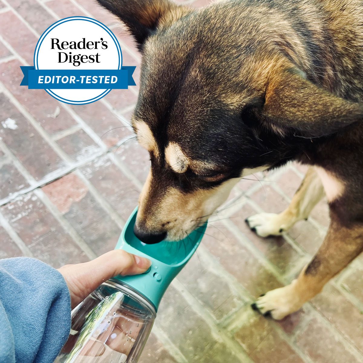I Tried the Portable Dog Water Bottle With 28,000 Fans on Amazon and I’m Never Leaving Home Without It