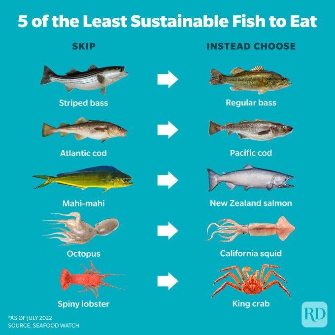 5 of the Least Sustainable Fish to Eat