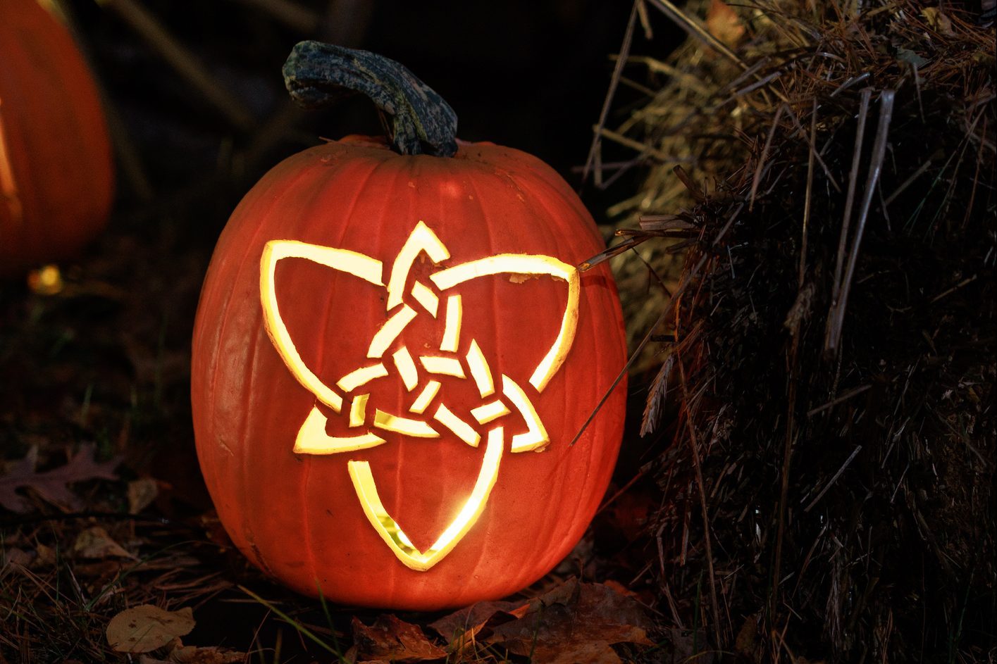 Orange pumpkin with carved ornaments laying on dry leaves