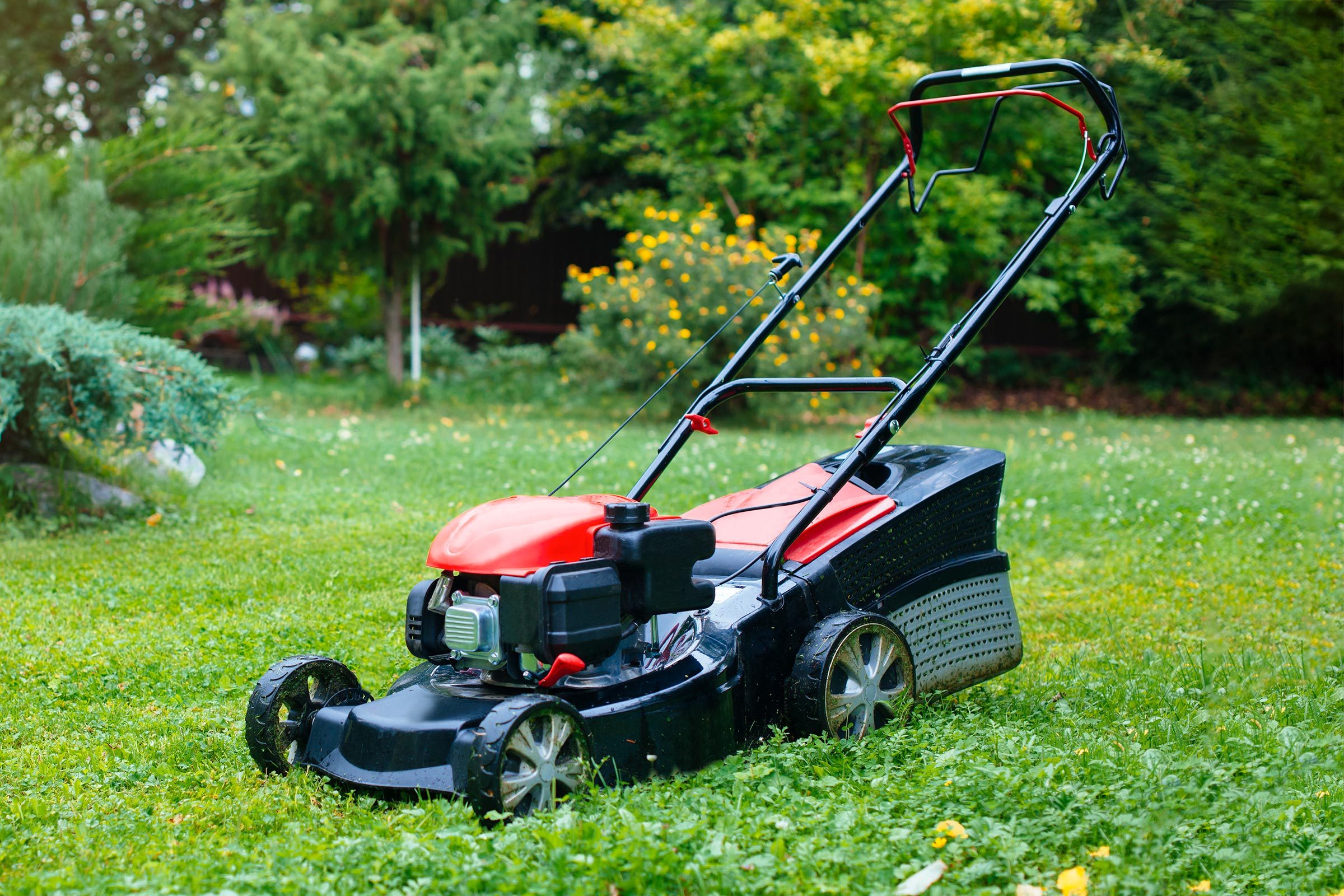 When Is the Best Time to Buy a Lawn Mower?