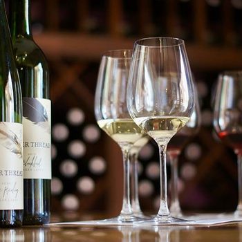 Wine bottles and glasses sit on a table, displaying wine varieties, with a wine cellar in the background.