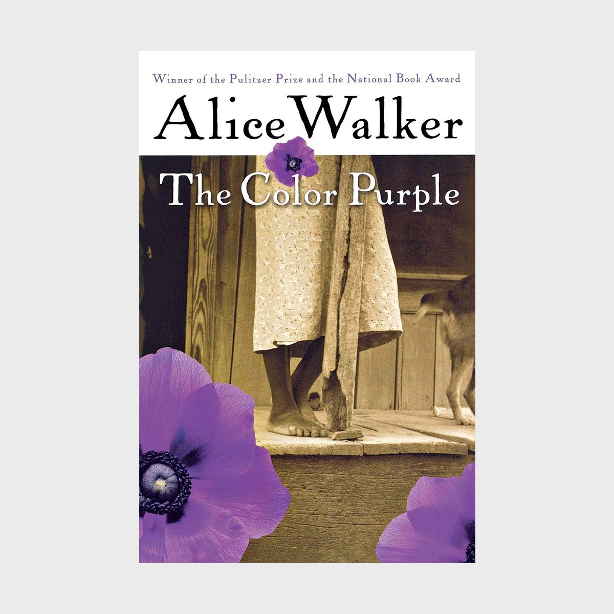 The Color Purple by Alice Walker