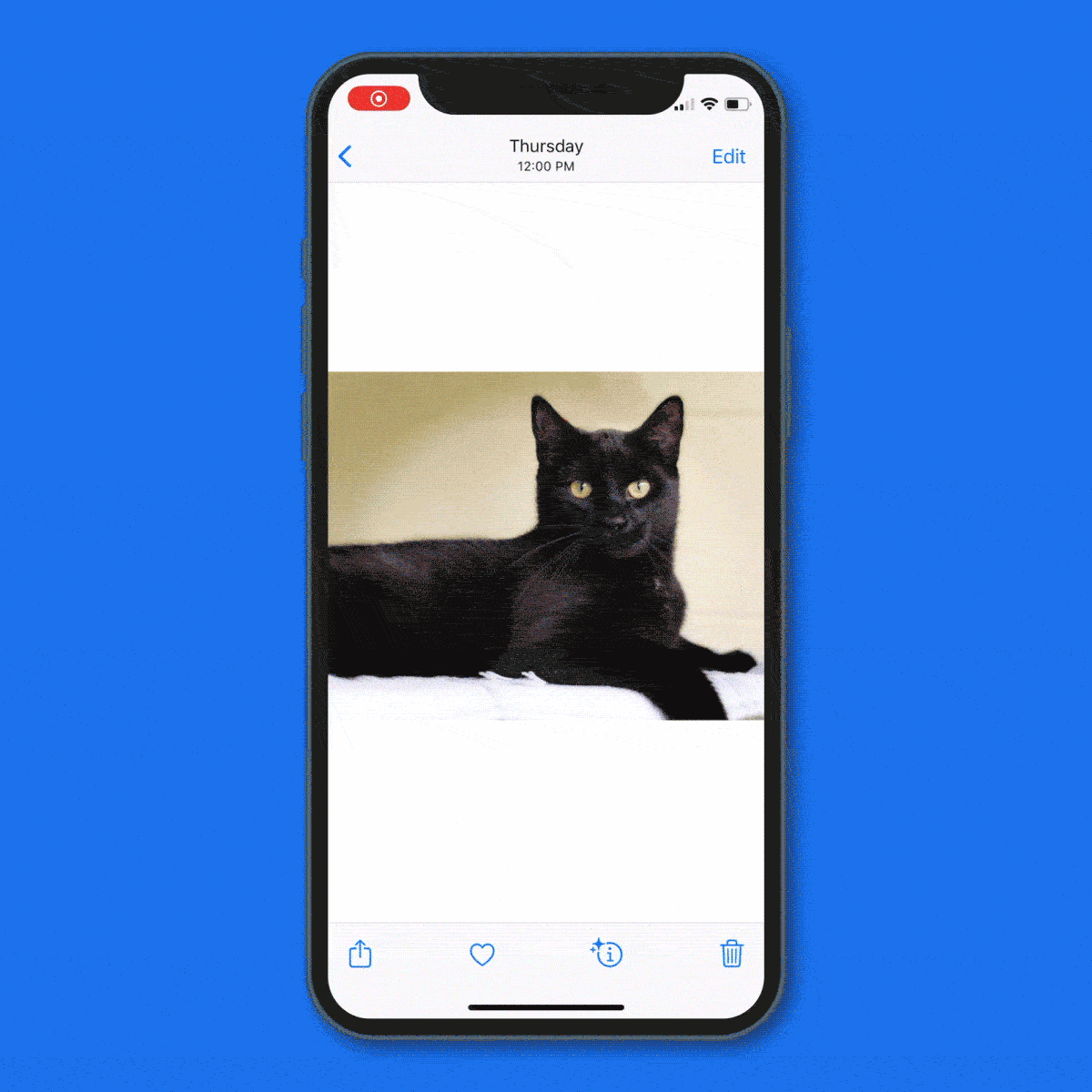 How To Do A Reverse Image Search On Your Iphone using Google Chrome