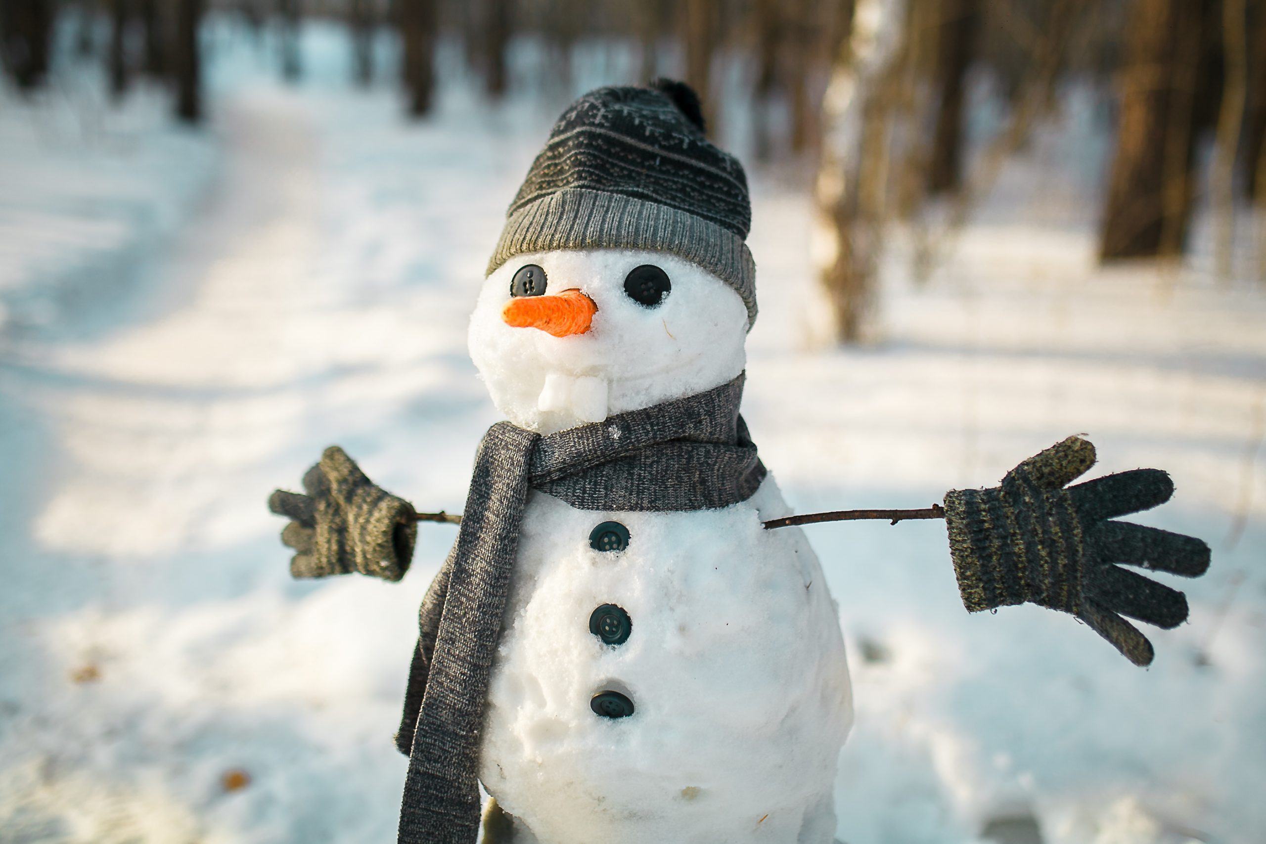 Close-Up Of Person Wearing Hat On Field During Winter Snowman