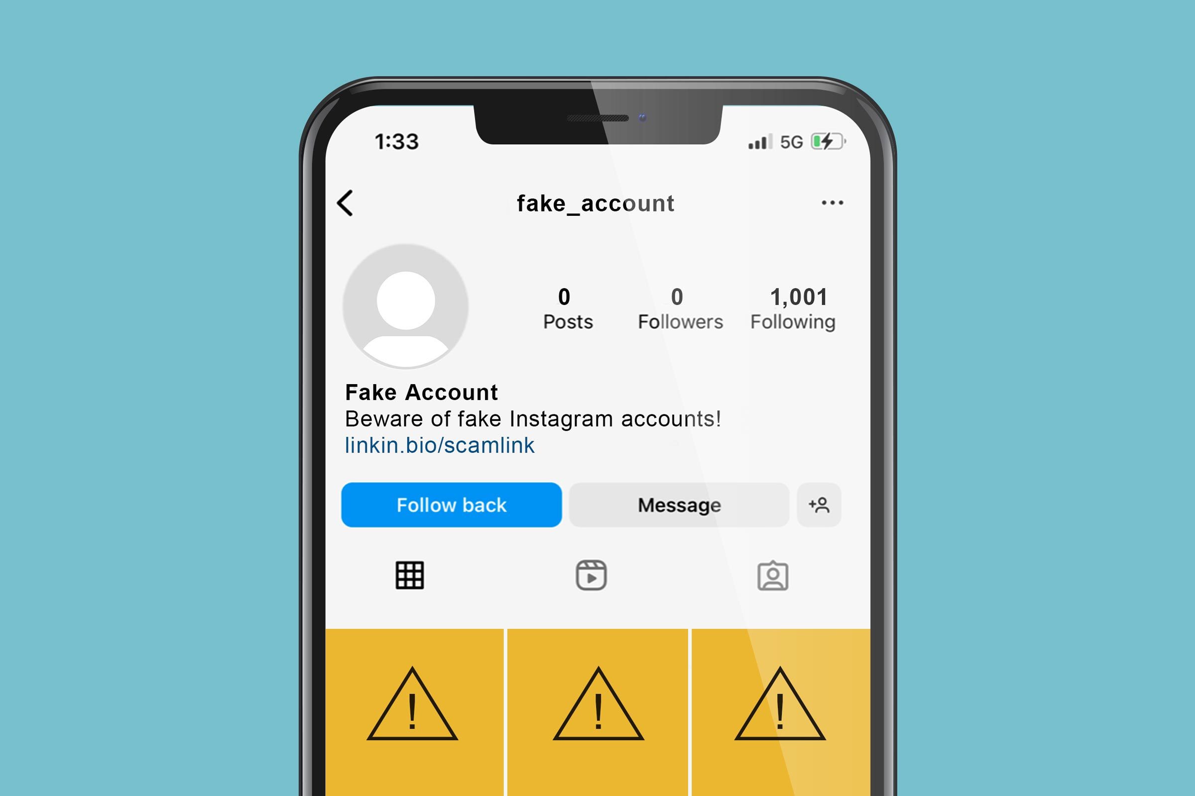 fake instagram profile page
