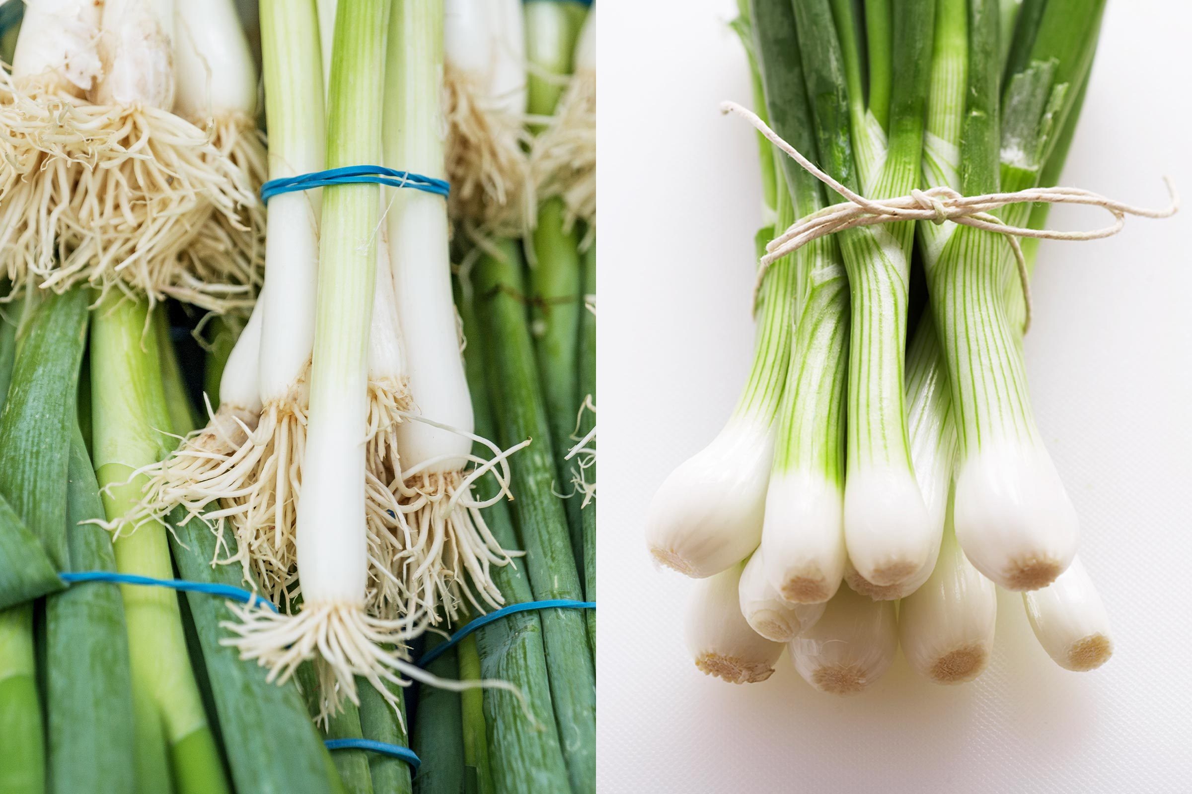 Scallions vs. Green Onions: What’s the Difference?