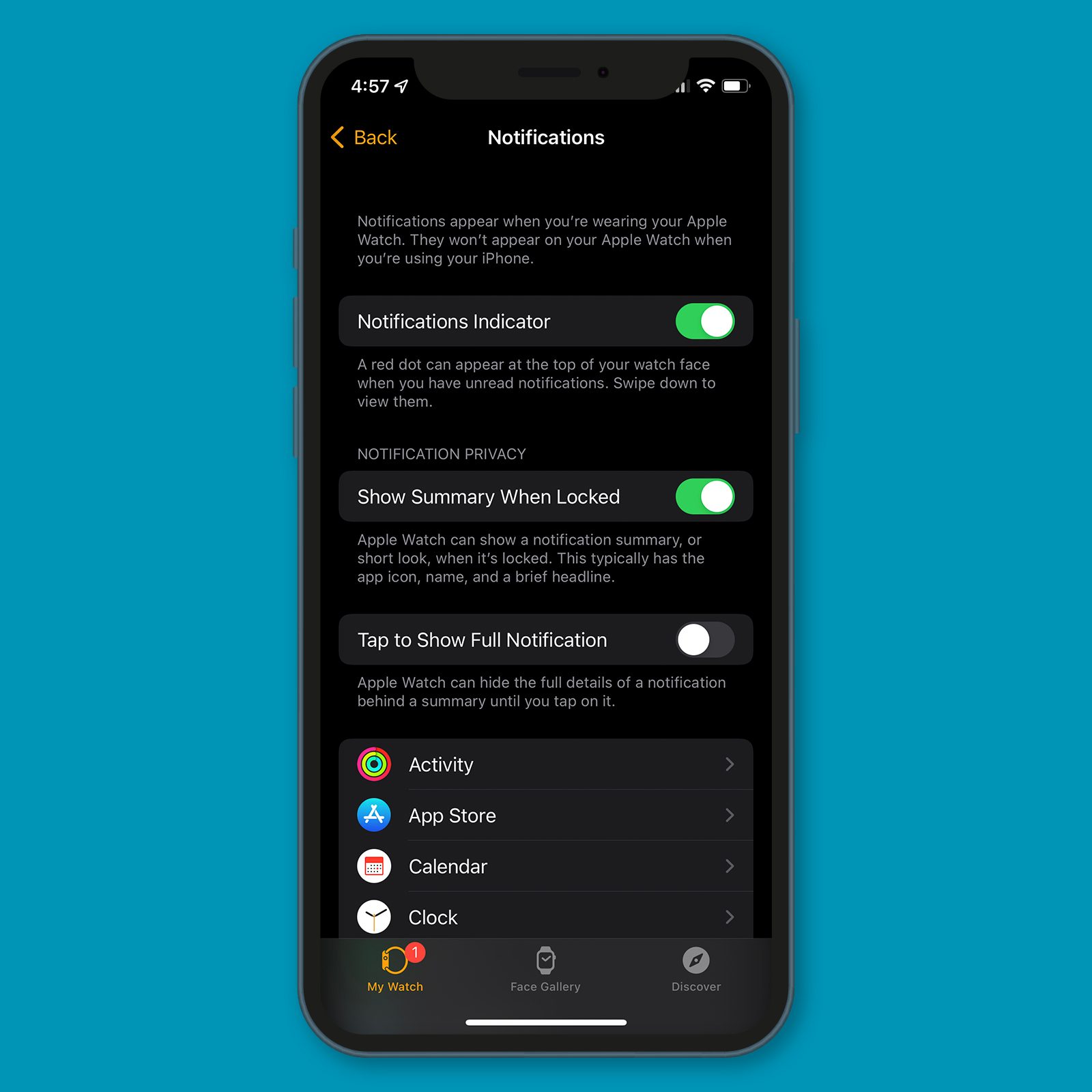 Apple Watch Notifications screen on an iPhone
