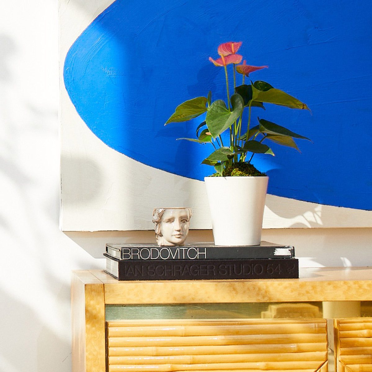 Potted plant sits on a stack of books beside a decorative head, against a blue abstract painting in a sunlit room.