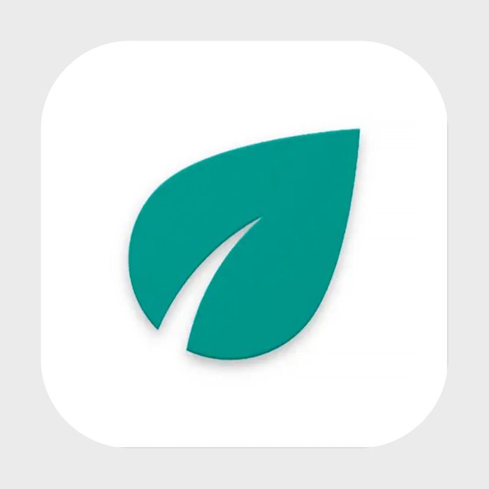 Teal leaf icon sits centrally on a white, rounded square background, suggesting a digital or app logo.