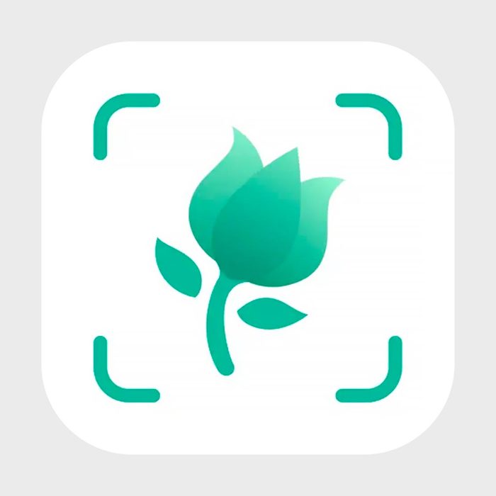 A green flower icon with leaves is centered, surrounded by four green corner brackets on a white square background.