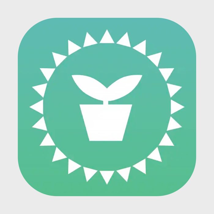 A white potted plant sits centered, surrounded by a circular sun design, against a green gradient background.