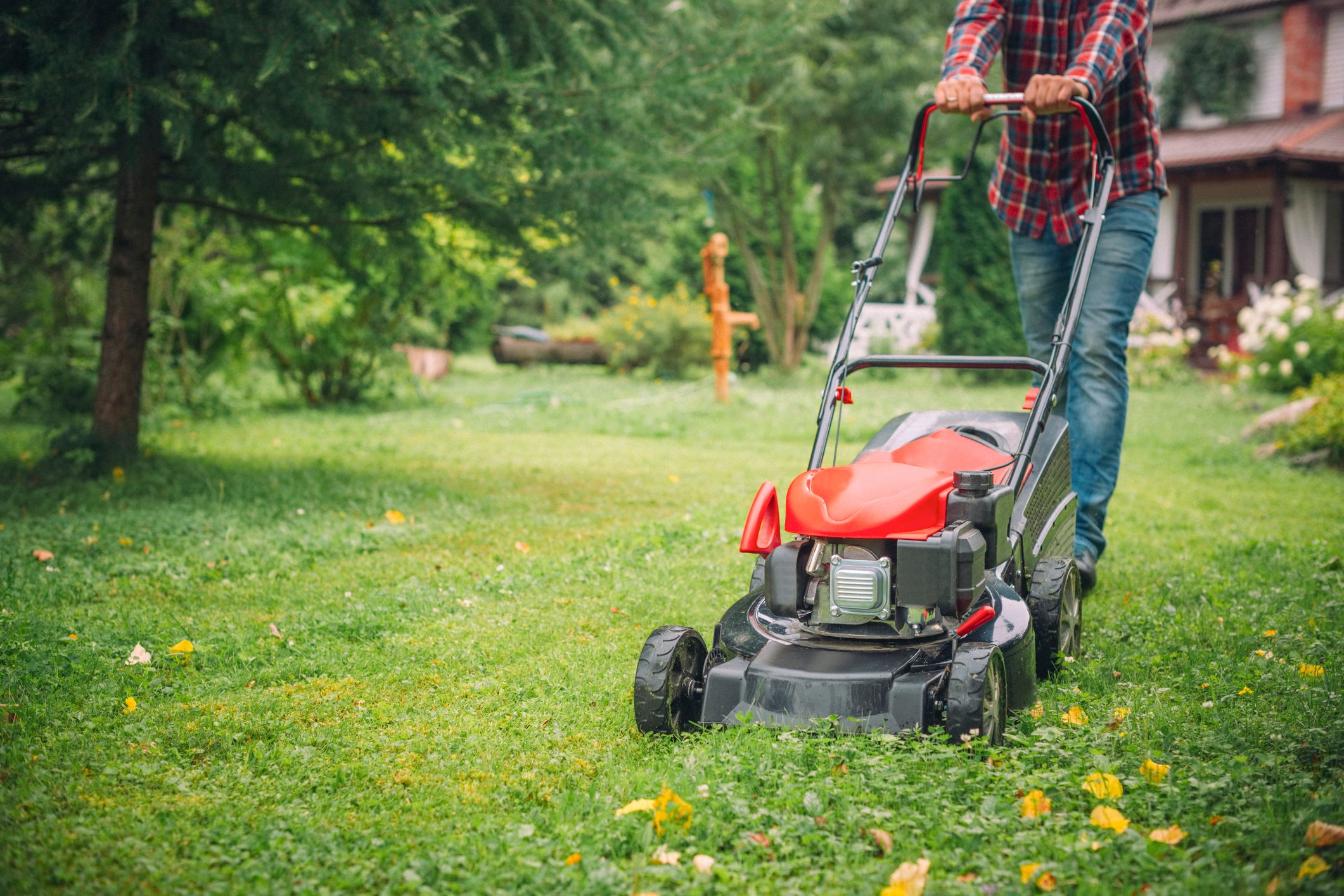 Lawn mower cutting grass, pushed by person wearing plaid shirt and jeans, in a lush green garden with trees and a house in the background.