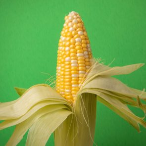 Corn cob standing with husks partially peeled, set against a bright green background.