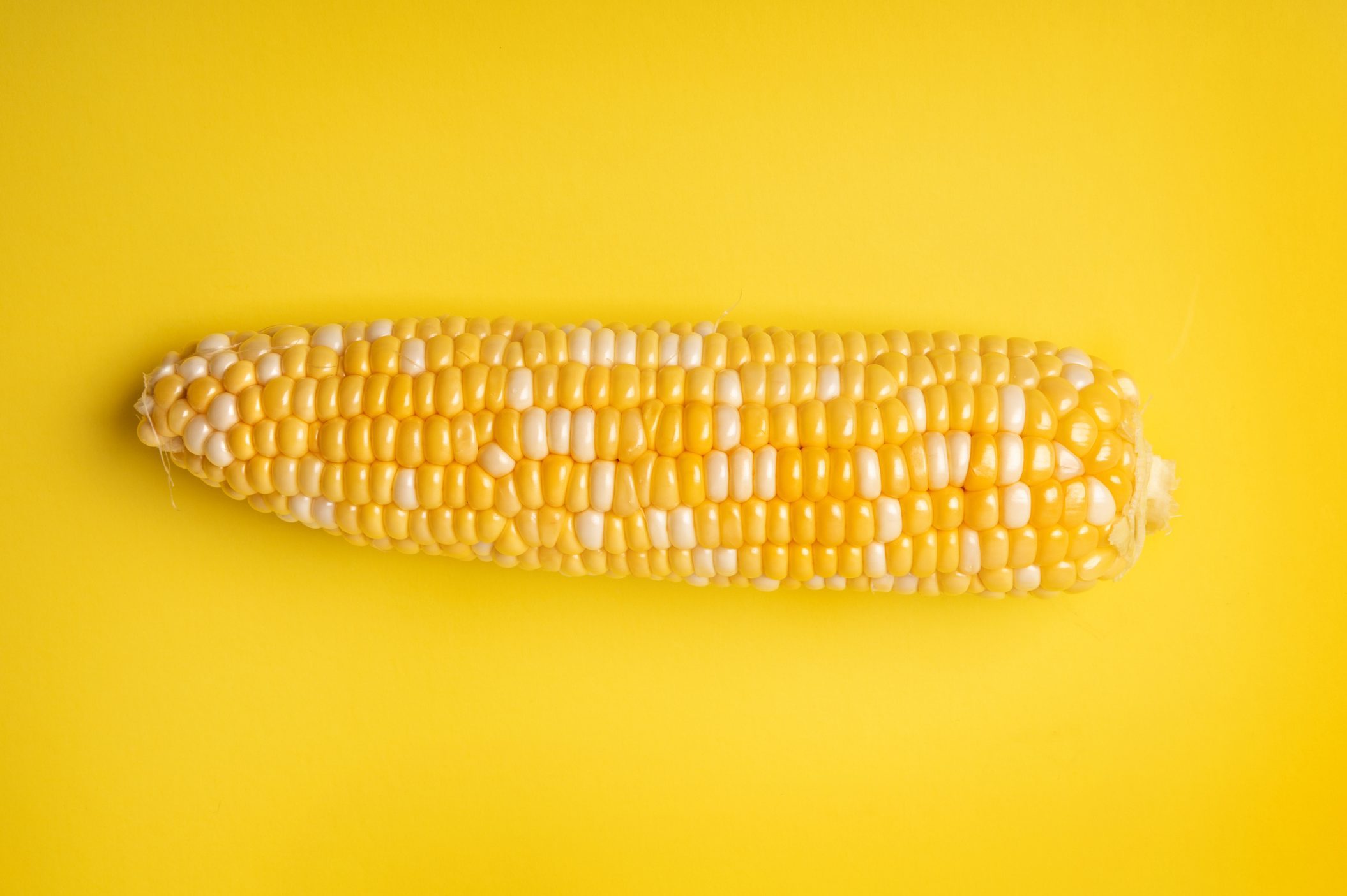 Corn on the Cob on Yellow