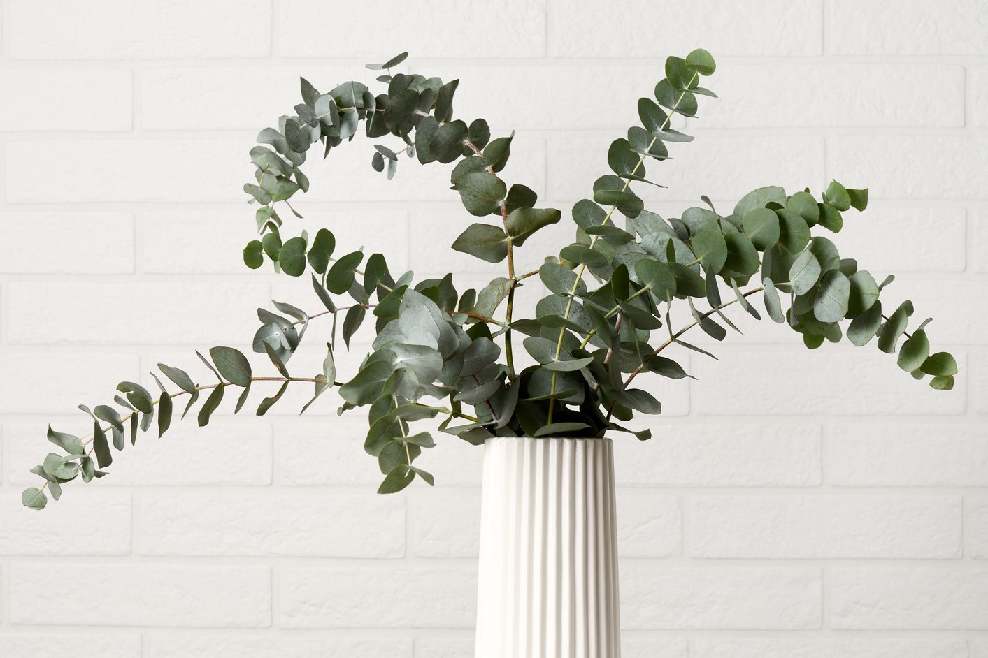 Beautiful green bouquet