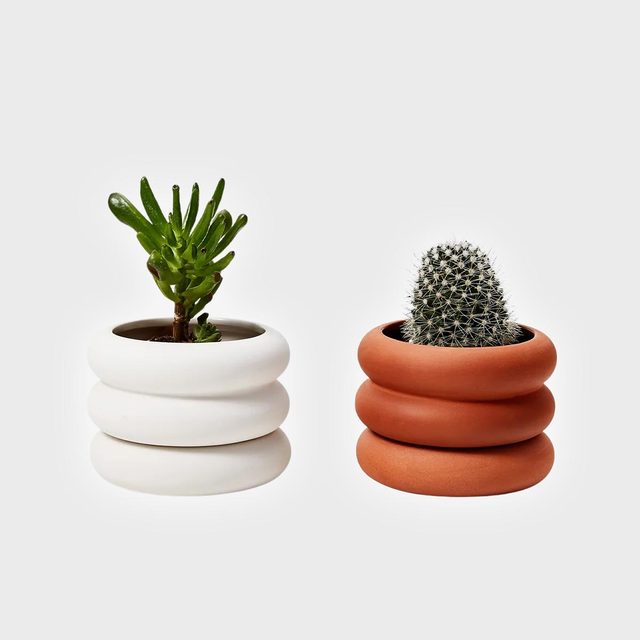 Succulent and cactus sit in white and terracotta stacked pots, respectively, against a plain background.