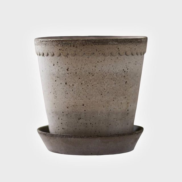 Concrete plant pot sits on a matching saucer, displaying a scalloped rim against a plain white background.