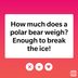 118 Rizz Lines and Tinder Pickup Lines That Actually Work