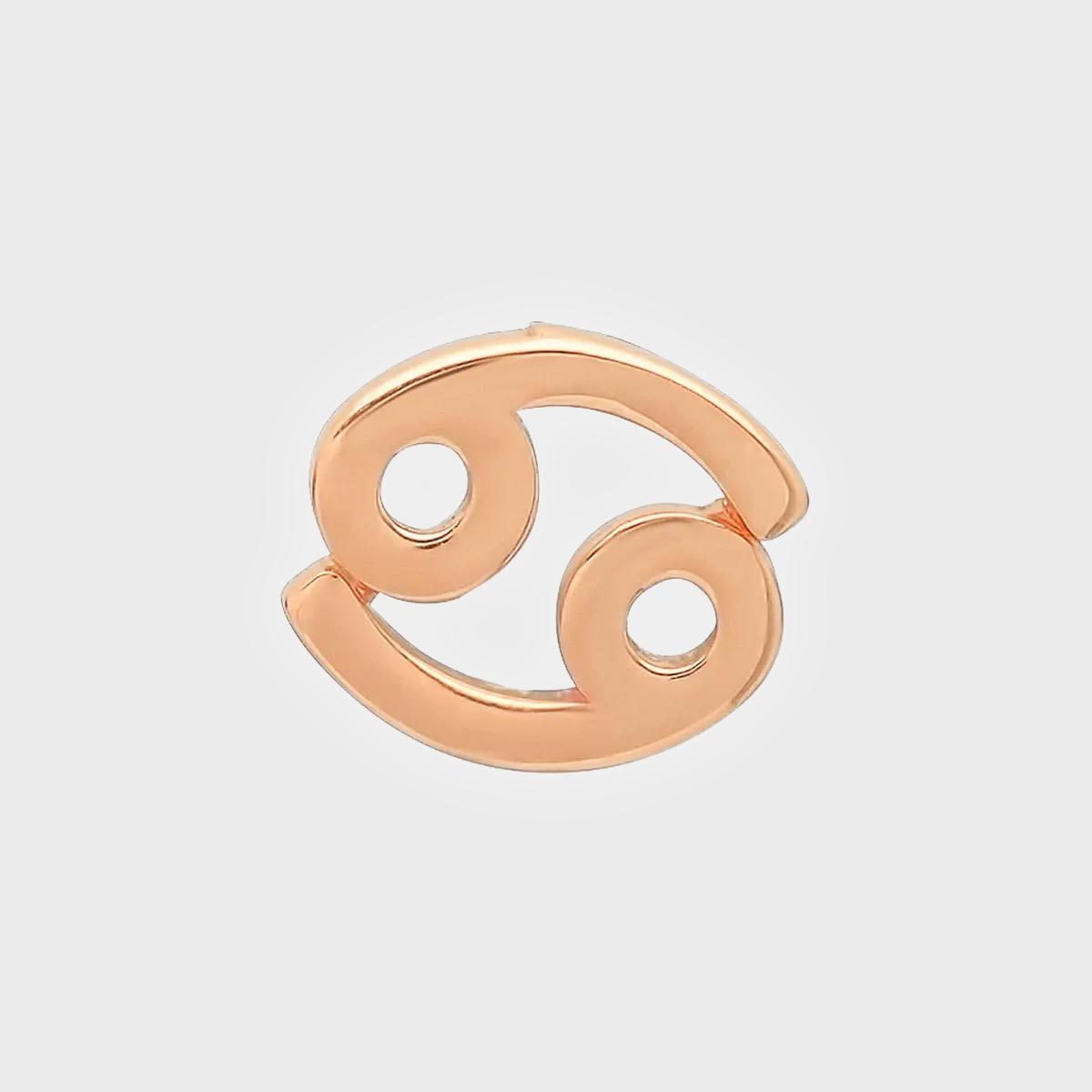 Bychari Zodiac Stud Earrings