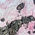 If You See Pink Snow, This Is What It Means