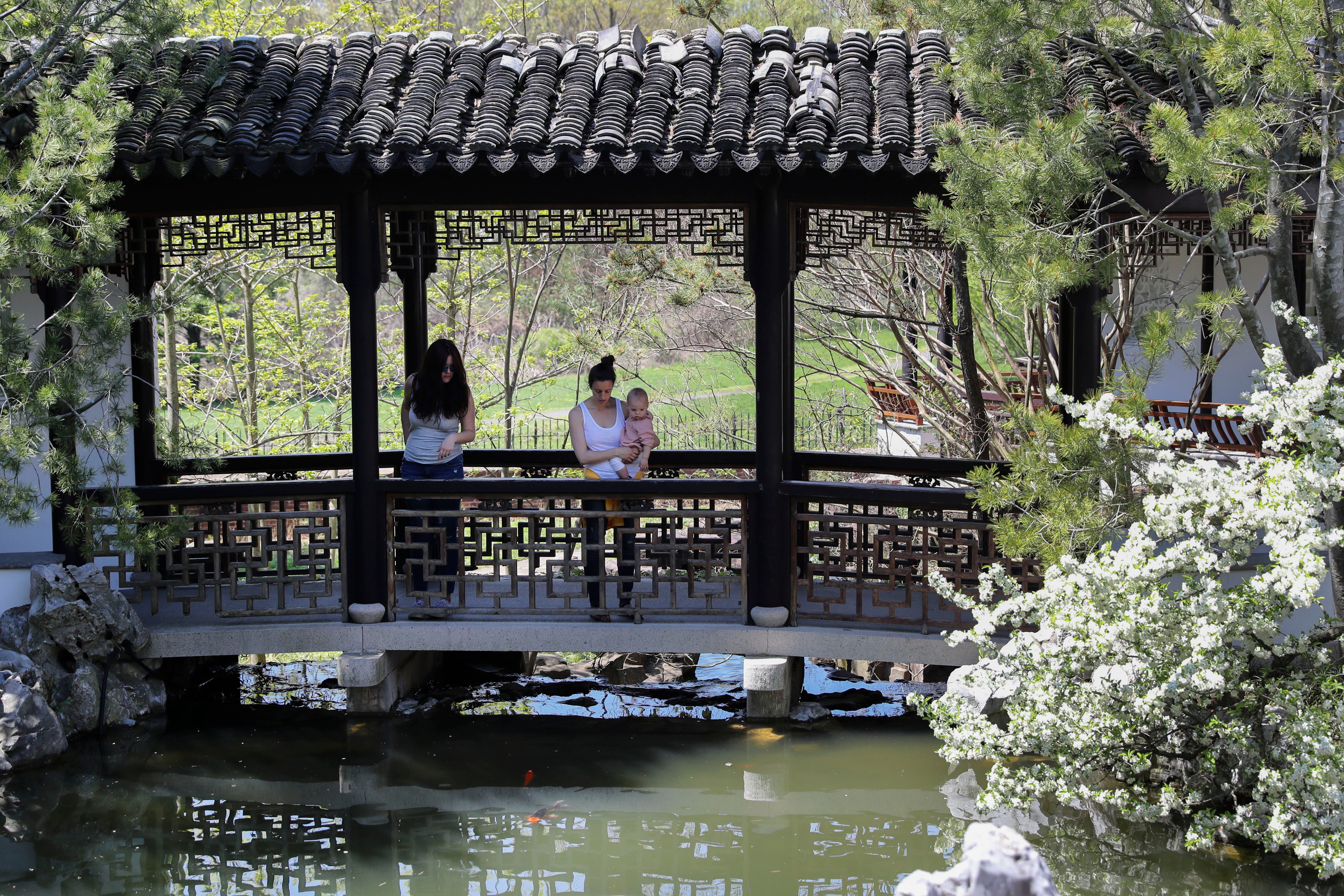 Two people stand on a decorative bridge, one holding a baby, surrounded by blooming trees and a pond in a serene garden setting.
