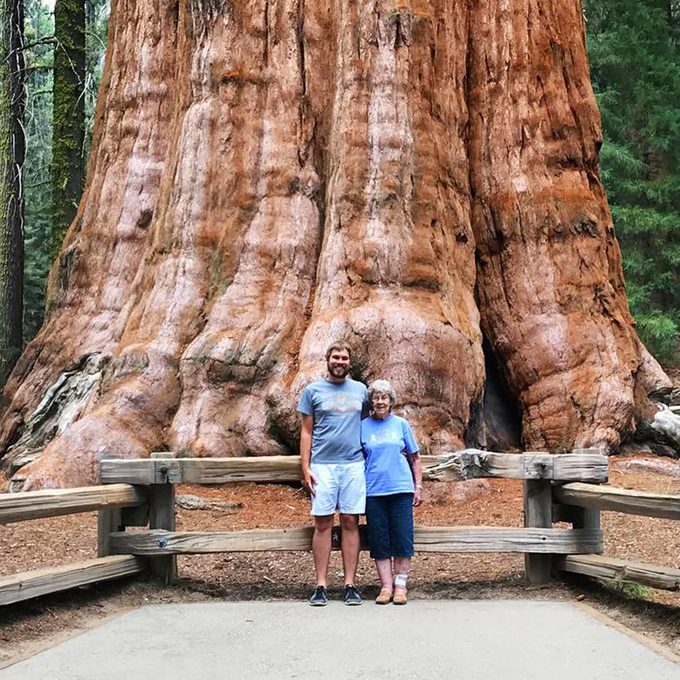 The General Sherman Tree at Sequoia National Park