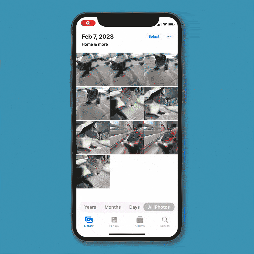 GIF showing how to mass delete duplicate photos on an iPhone