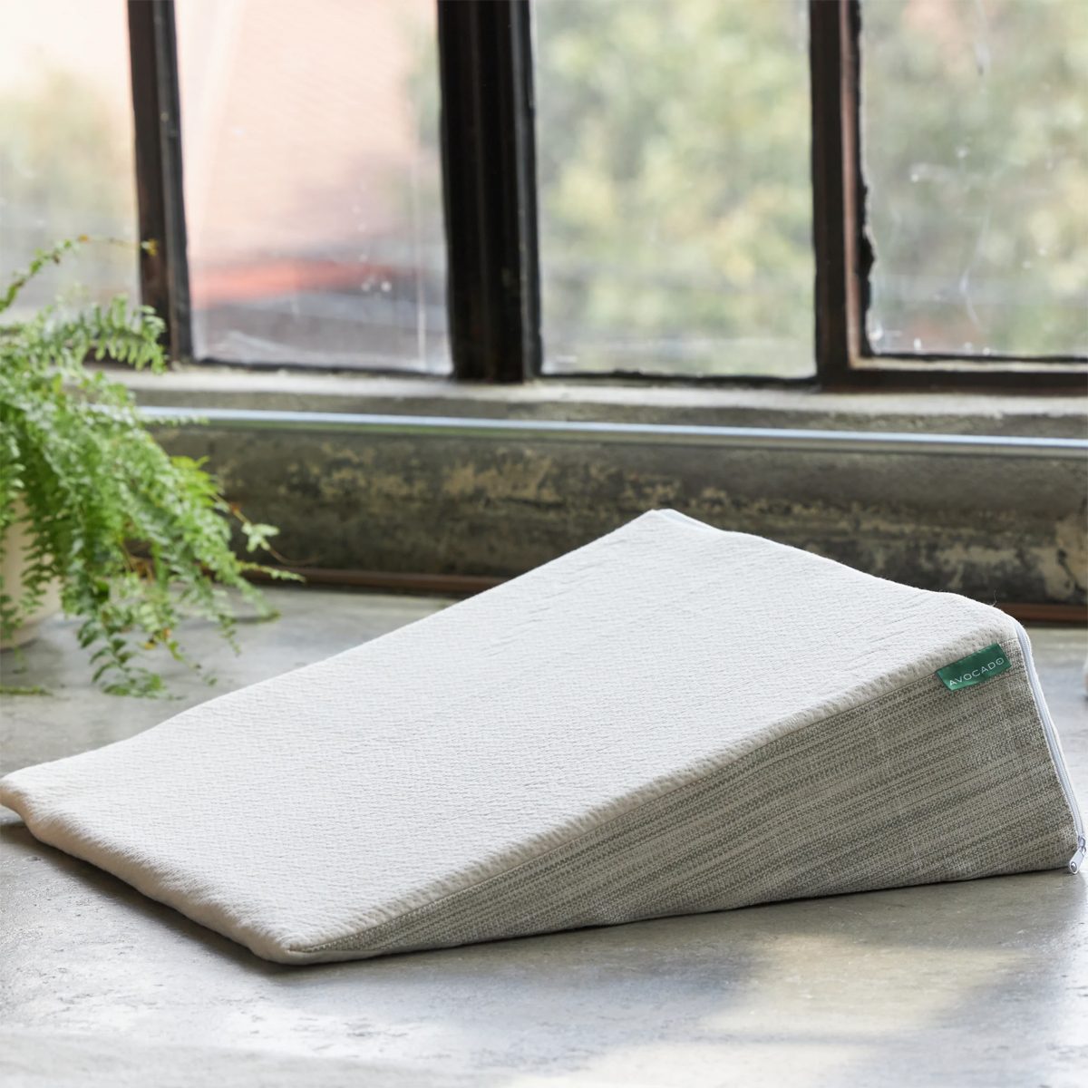 A wedge pillow rests on a windowsill beside a potted fern, with a blurred outdoor view visible through the window.