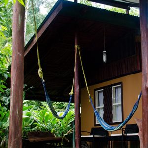 A blue hammock hangs between wooden beams under a covered porch, surrounded by lush green plants and adjacent to a building with windows.