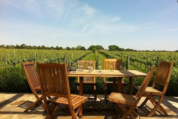 A wooden table with chairs is set for dining, positioned on a patio overlooking a lush vineyard under a clear blue sky.