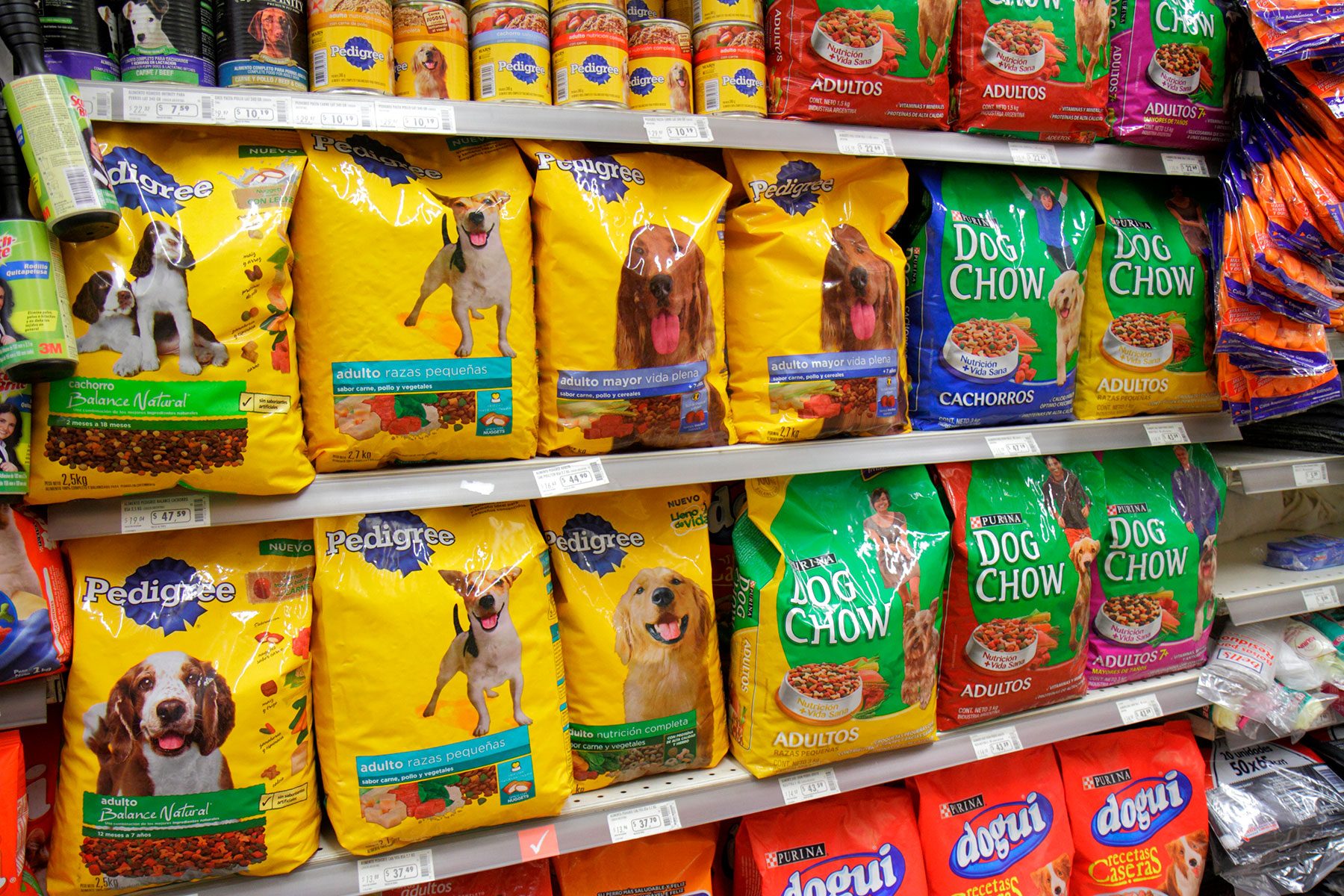 There’s a National Pet Food Shortage Going On—Here’s What We Know