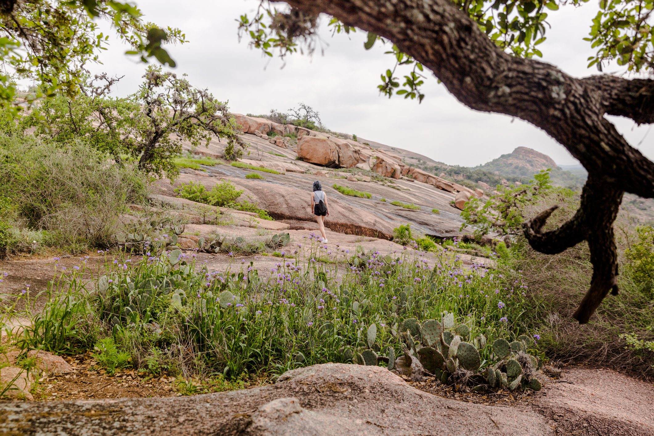 Enchanted Rock State Natural Area Texas
