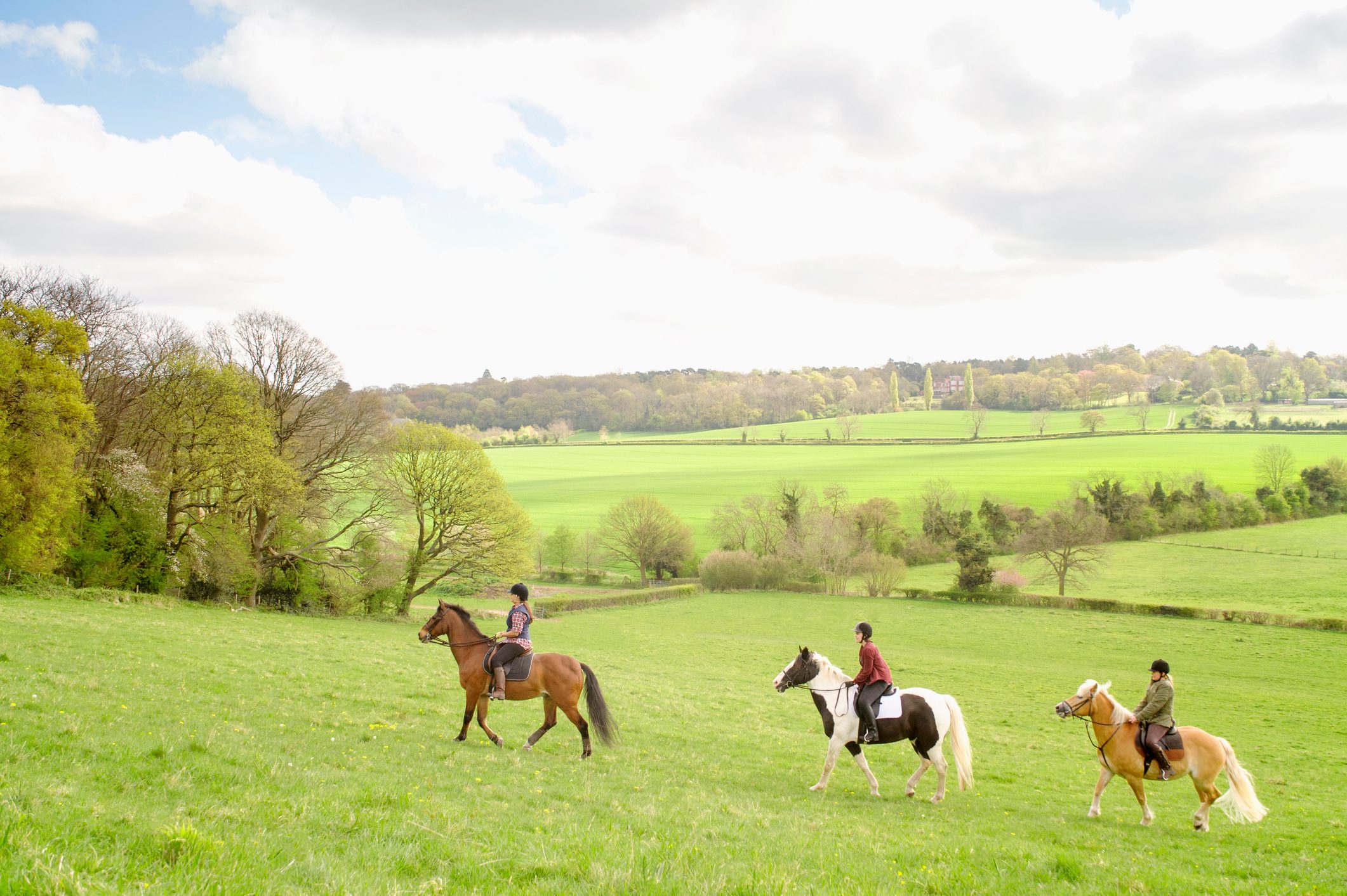 Horseback riders in rural field