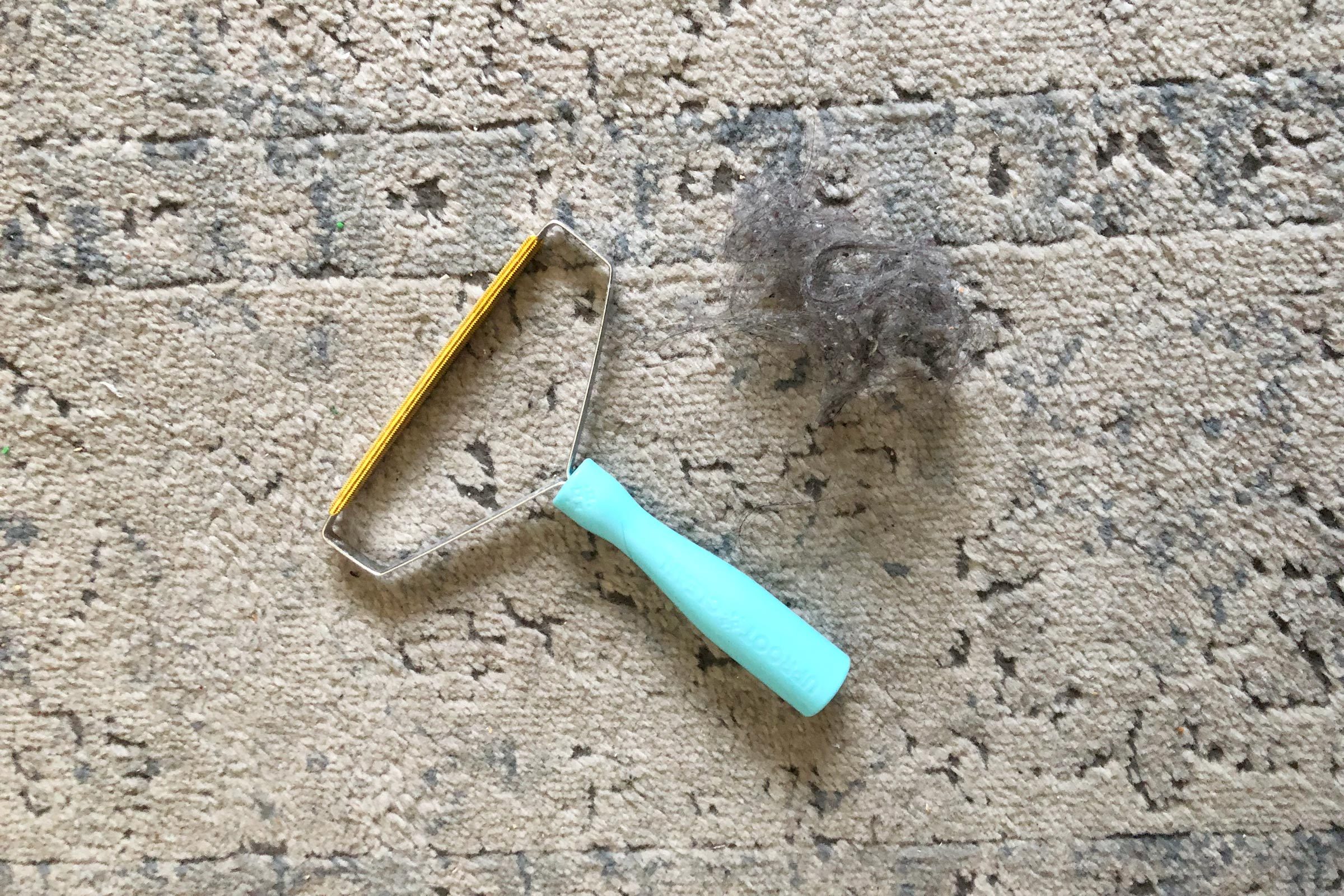 Carpet Scraper In Use Photo Andrea Carrillo Jvedit