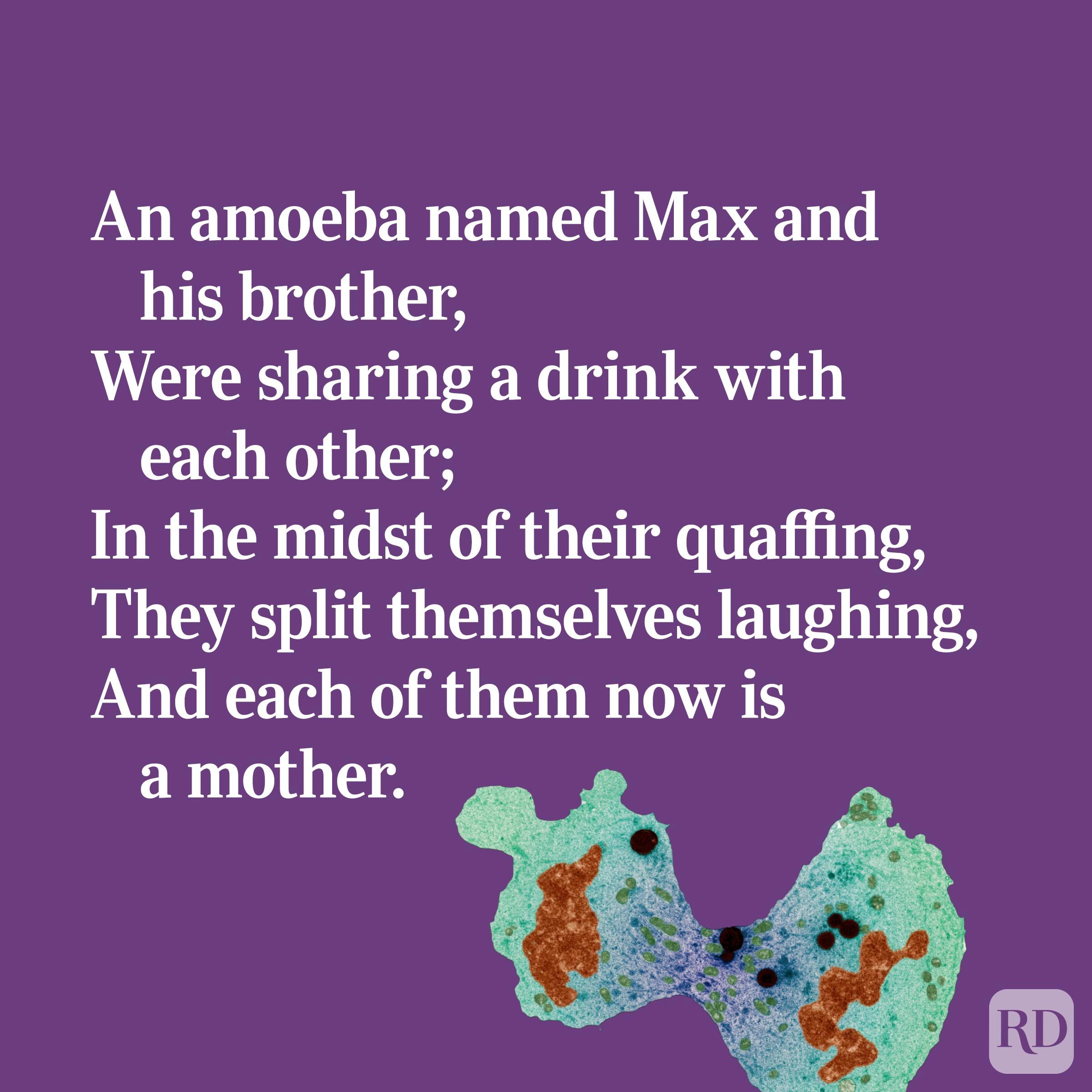 Funny Limerick