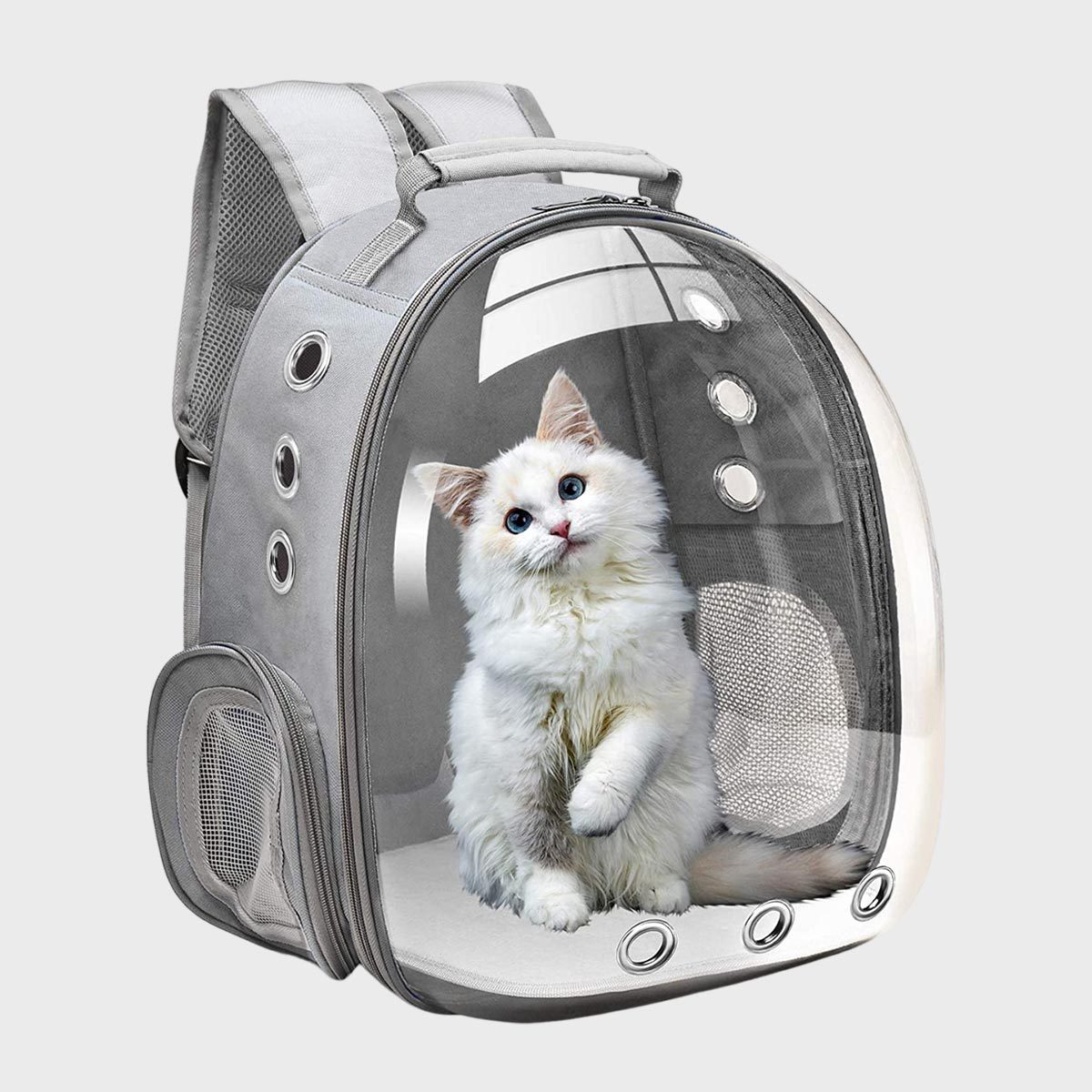 Fluffy white cat sits inside a transparent-front gray backpack, surrounded by mesh ventilation panels.